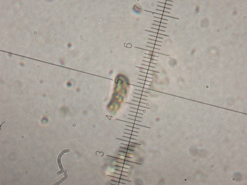 In mancanza di .... QUIZ